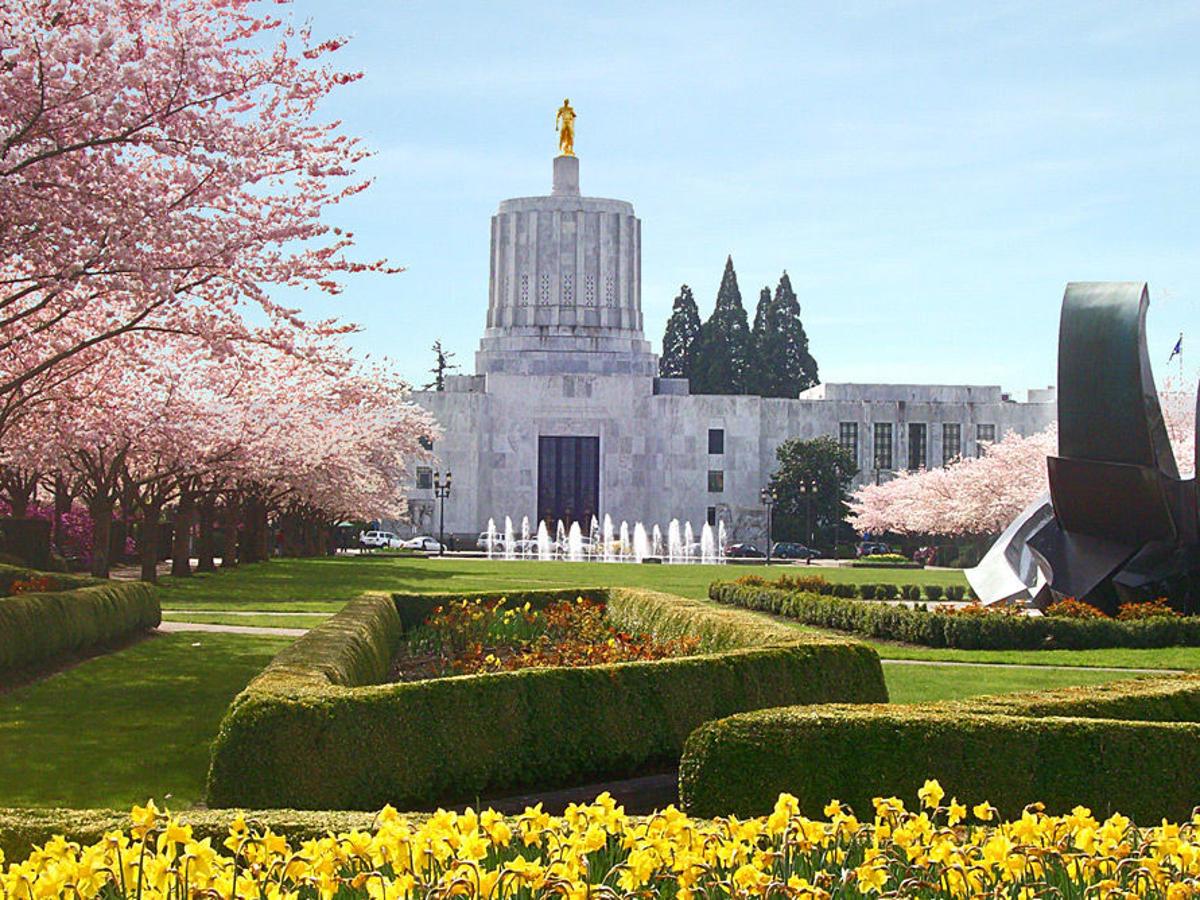 Oregon Politics March Arrives With Virus Voting And Political Turmoil Local Gazettetimes Com Cherry Festival July 2022 Salem Oregon
