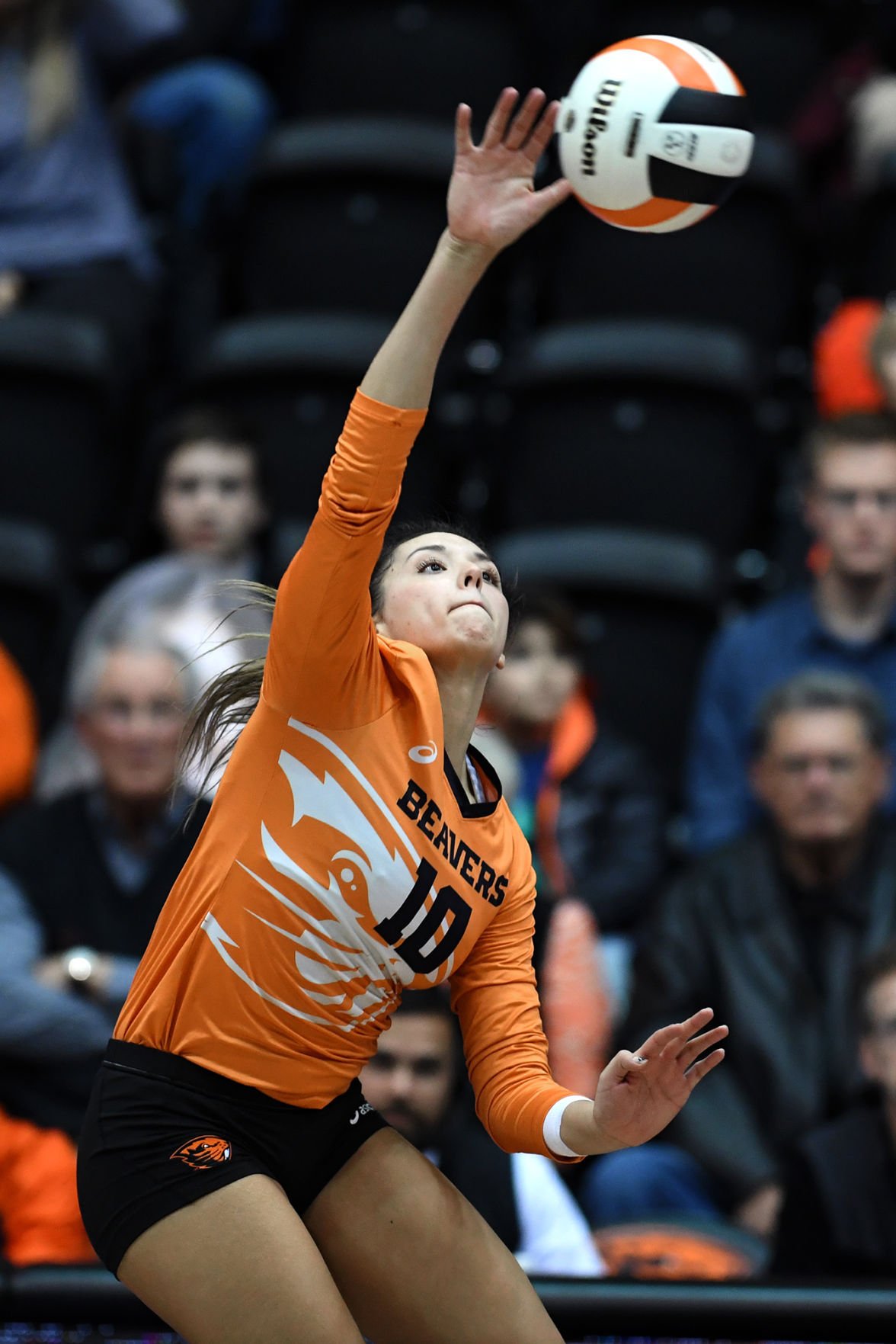 Gallery: Oregon State volleyball against Washington | Photo Gallery