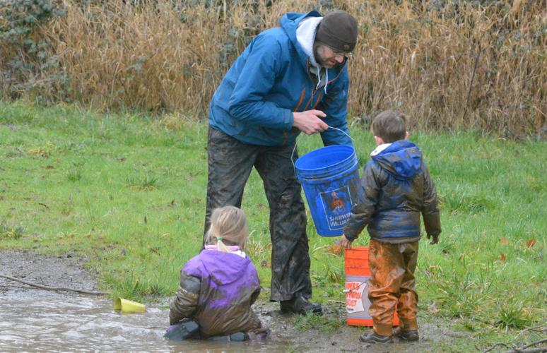Fern & Feather Forest School
