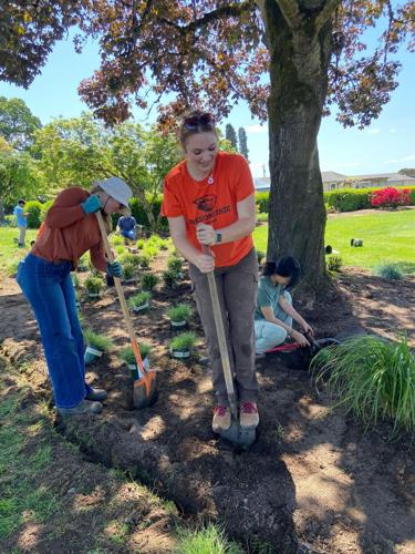 Students create ornamental grass display garden at OSU farm