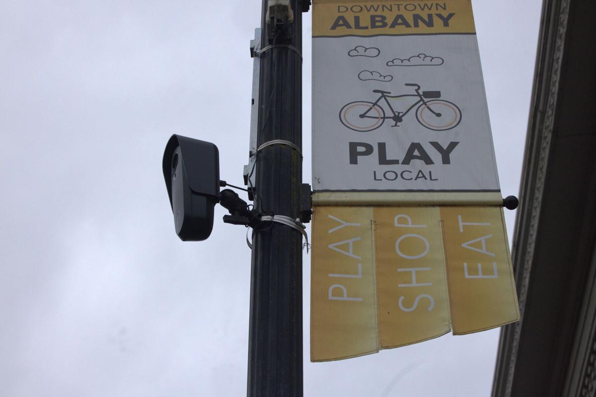U.S Border Patrol searched Albany's data
