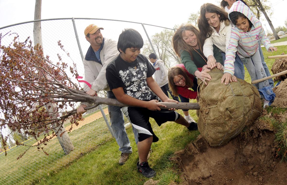 When Is Arbor Day 2022 In New Jersey