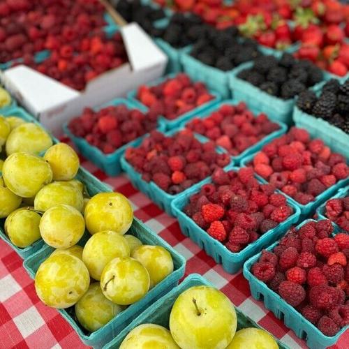 Farmers market tours with the OSU Basic Needs Center help students access fresh, local produce