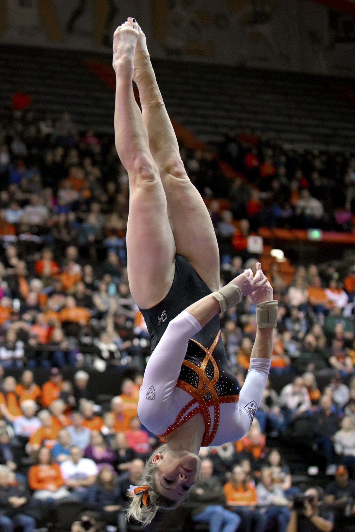 Gallery Oregon State Gymnastics Gallery