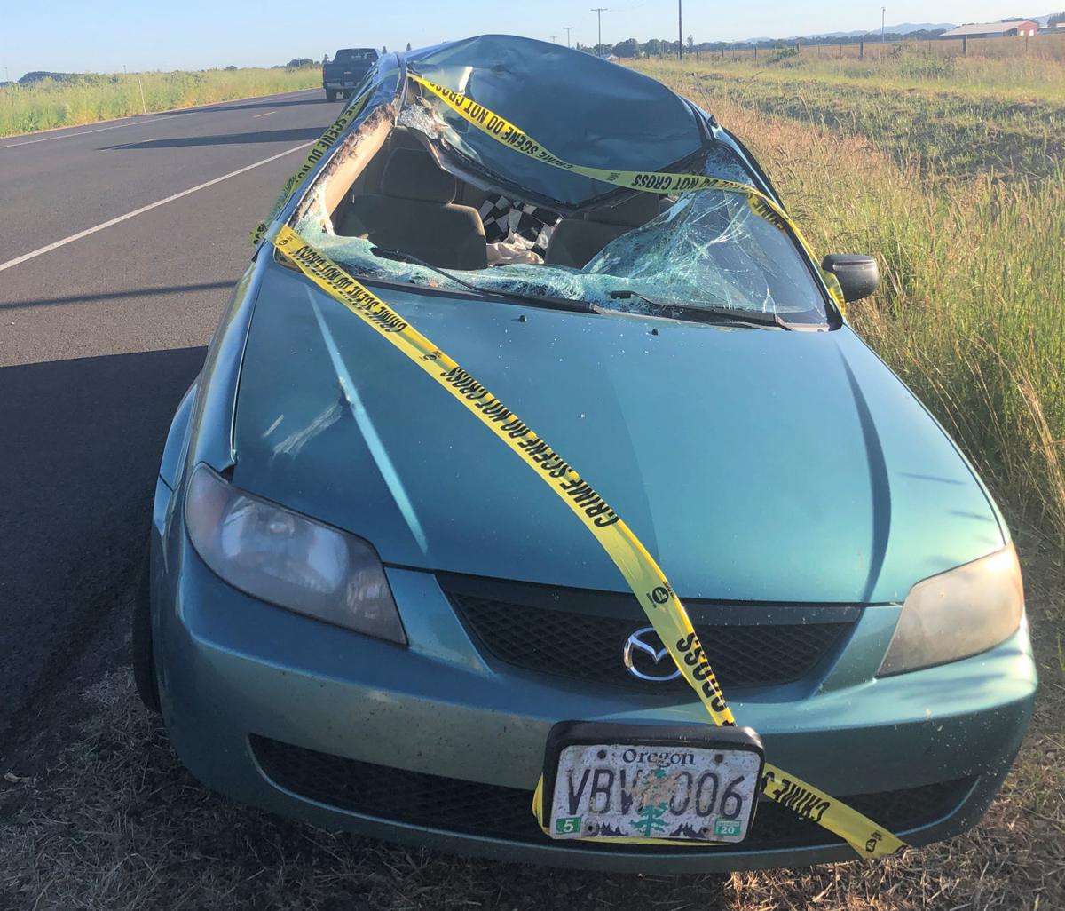 Albany woman survives elk vs. car accident; law allows ...