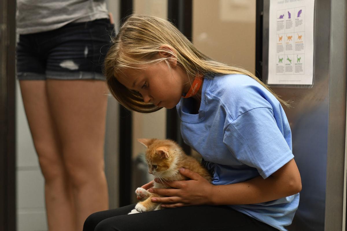 Heartland Humane celebrates 50 years