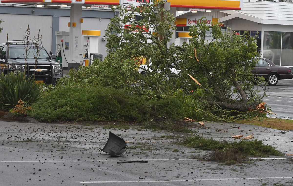 Stolen car crashes in Albany Local