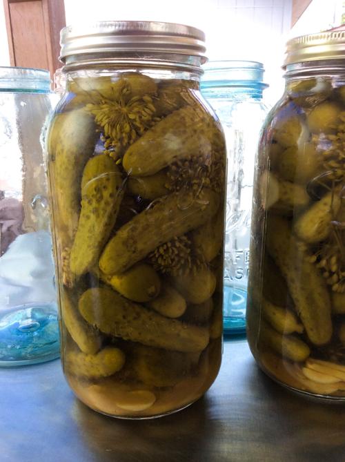 Preserving pickles Food and Cooking