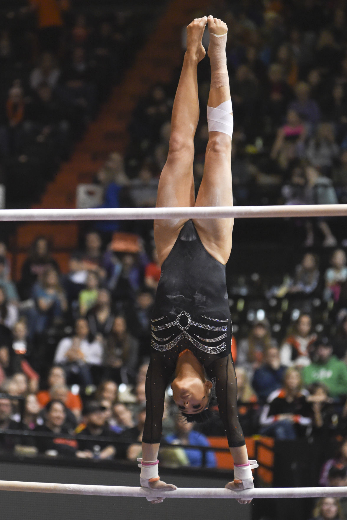 Gallery Oregon State vs. Stanford Gymnastics Photo Gallery