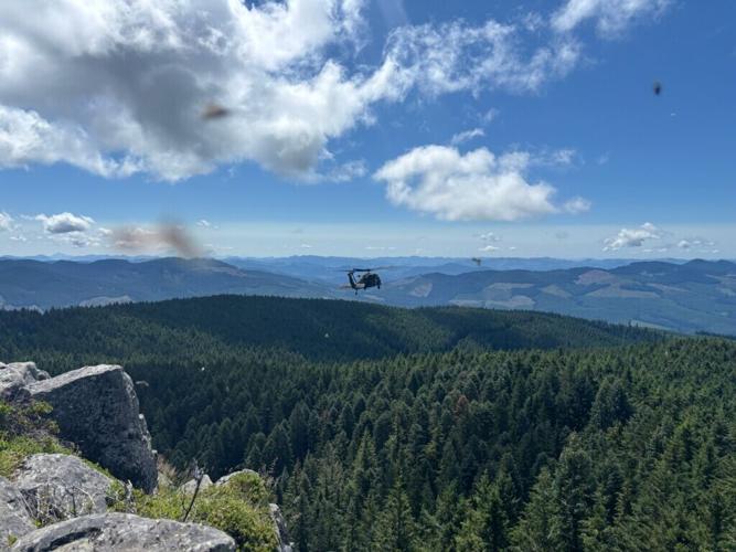 albany missing person helcopter.jfif