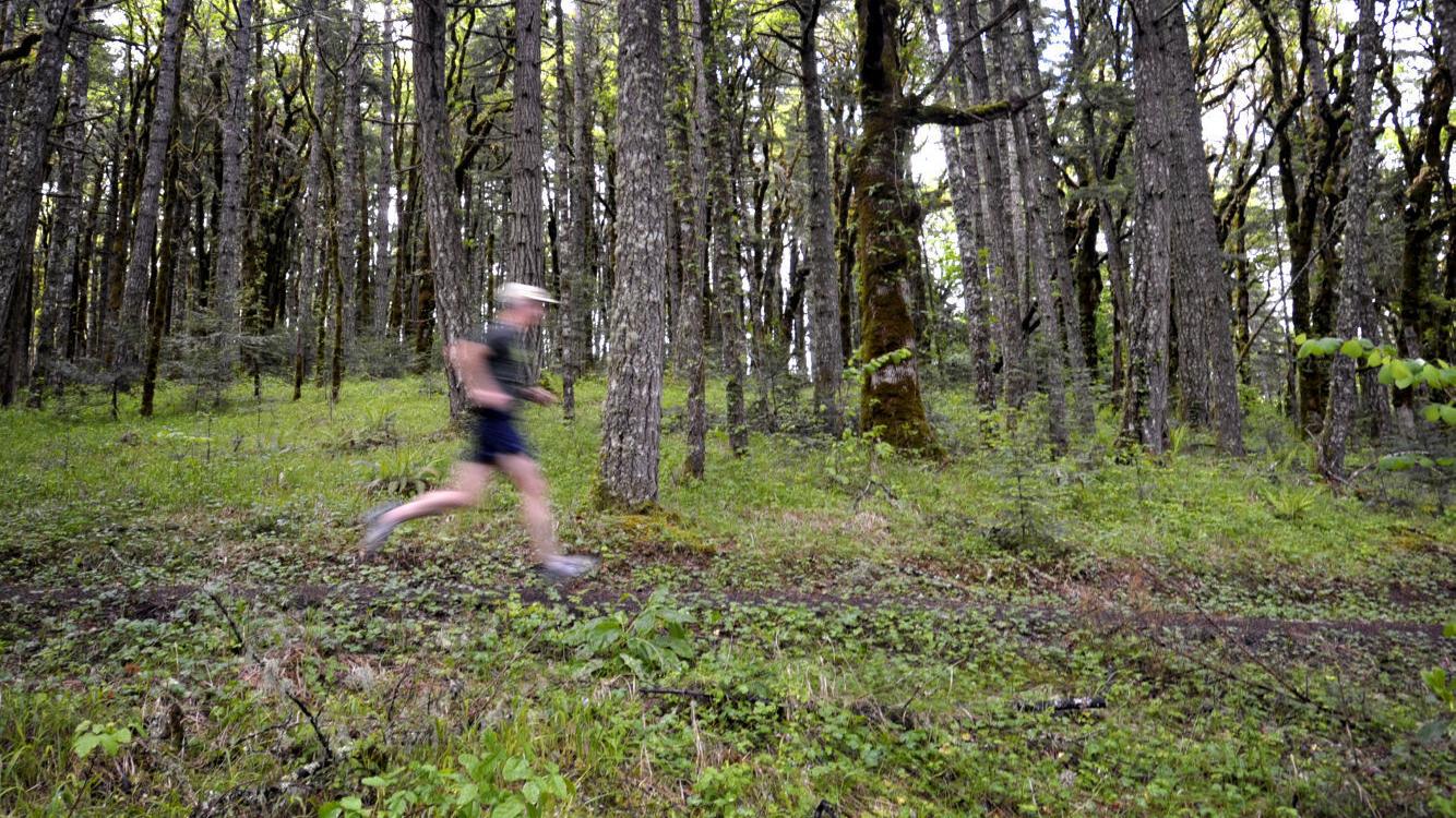 Mulkey Ridge trail in Corvallis is closing - Vimarsana News