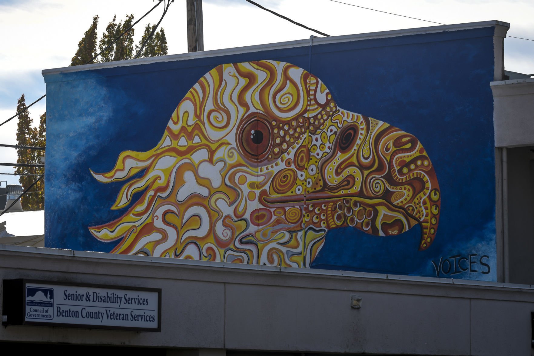 Gallery: Corvallis Murals | Corvallis | Gazettetimes.com