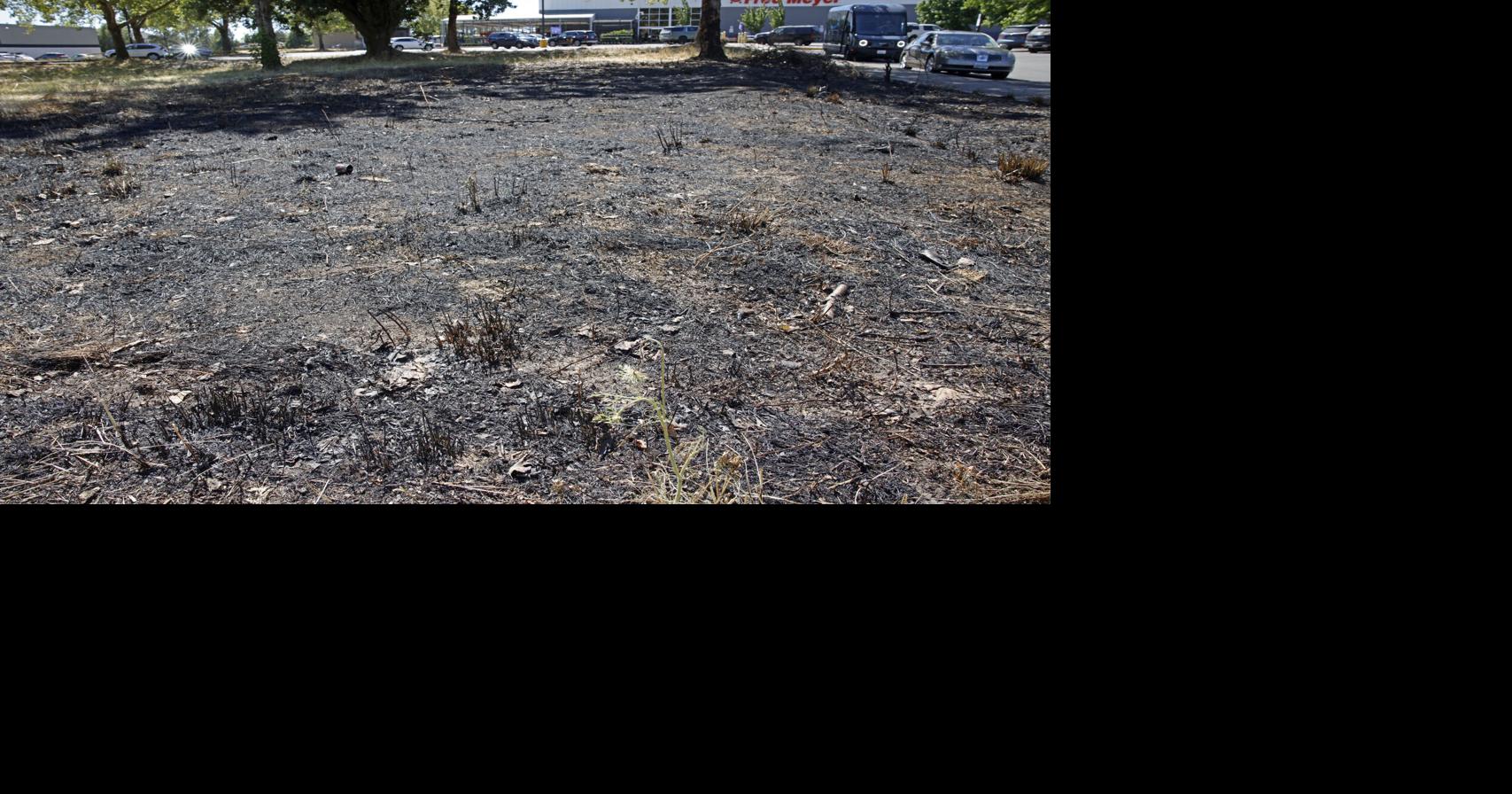 Albany man allegedly lit 3 arson fires while on release