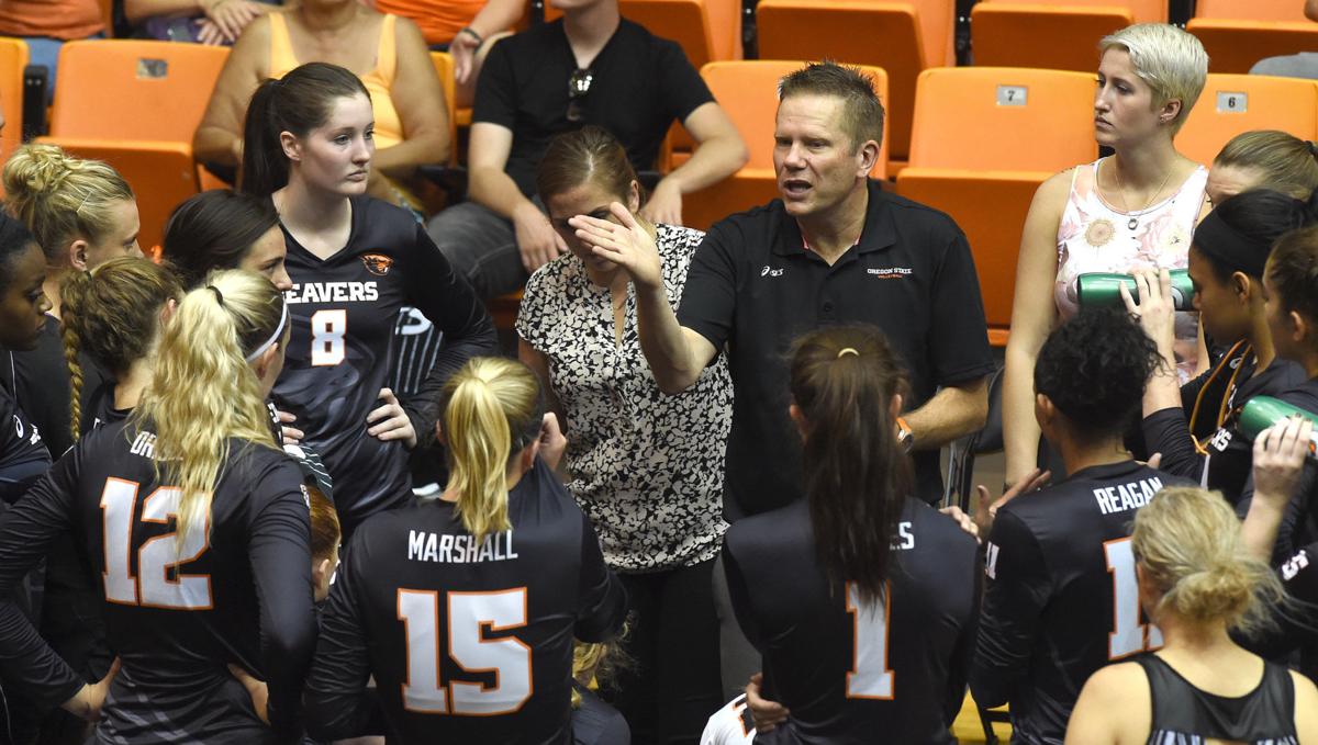 Osu Volleyball Depth Experience Key For Beavers This Fall Volleyball Gazettetimes Com
