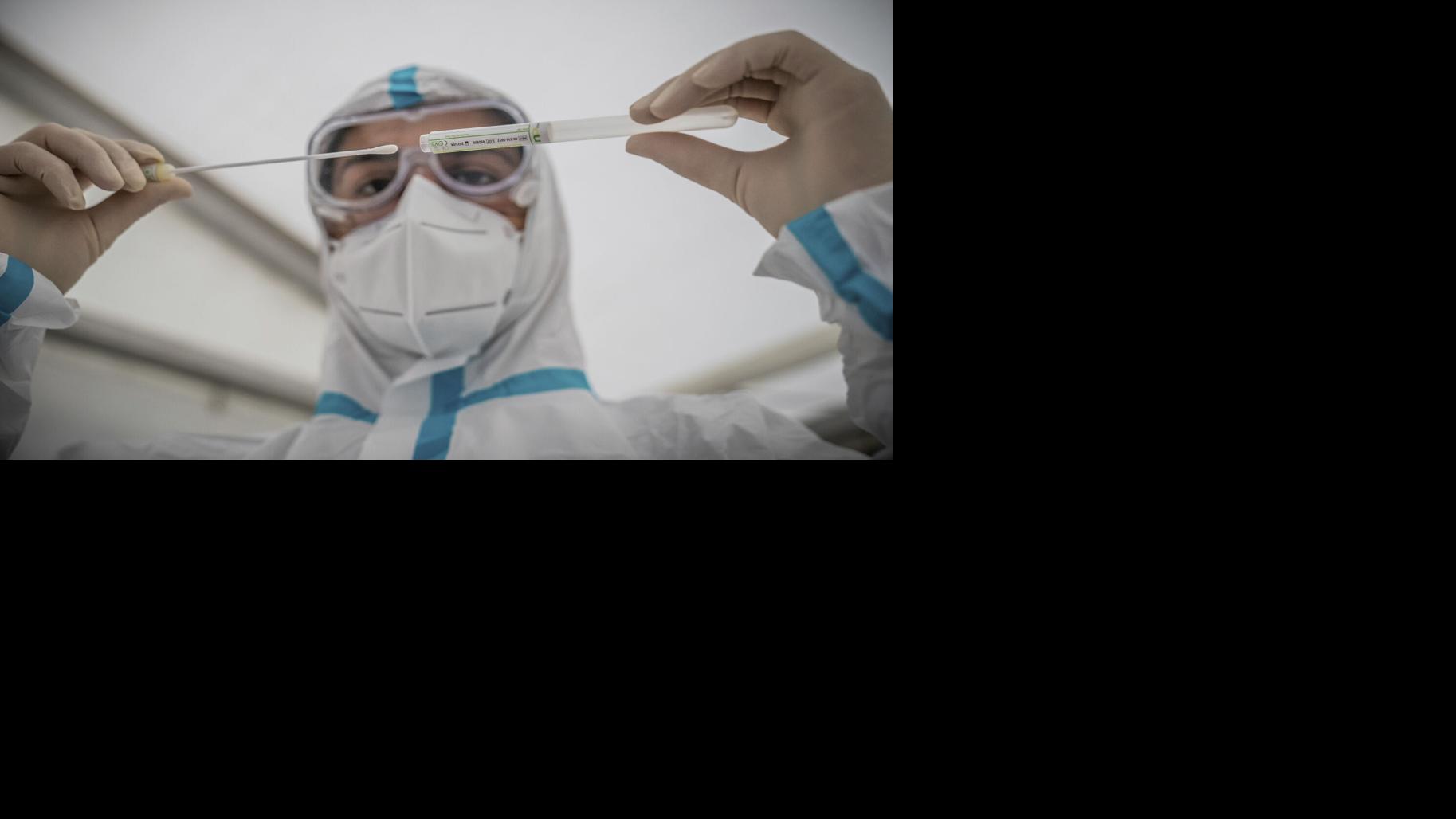 Rumpus pro 8 0 19 download free download