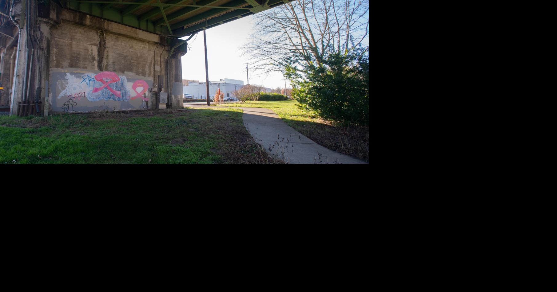 Albany City Council debates trash bins for homeless