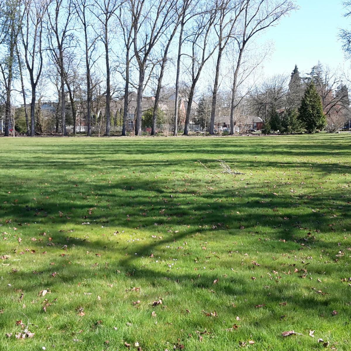 Osu City Continue To Sort Out Land Use Issues Local