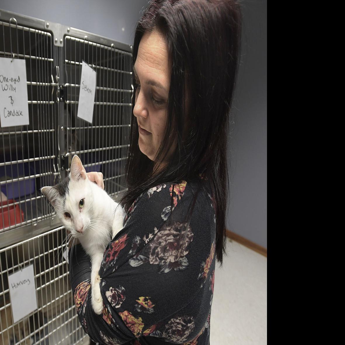 Safehaven Shelters 34 Neglected Cats Local Gazettetimes Com