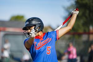 High school: Previewing the baseball and softball tournaments