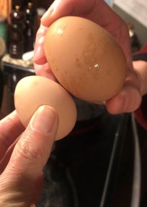 Triple-yolker egg a 1-in-this-many-million surprise for Albany man