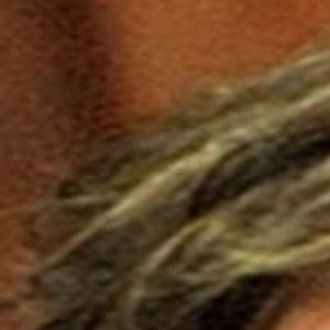 Courtney S Sister Has An E Mail For The Media Local Gazettetimes Com His birthday, what he did before fame, his family life, fun trivia facts, popularity rankings, and more.