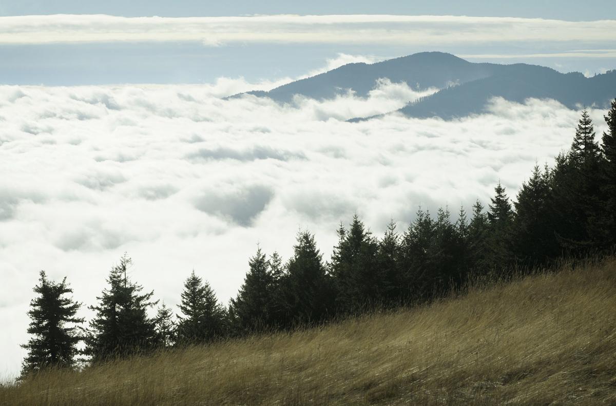 Marys Peak