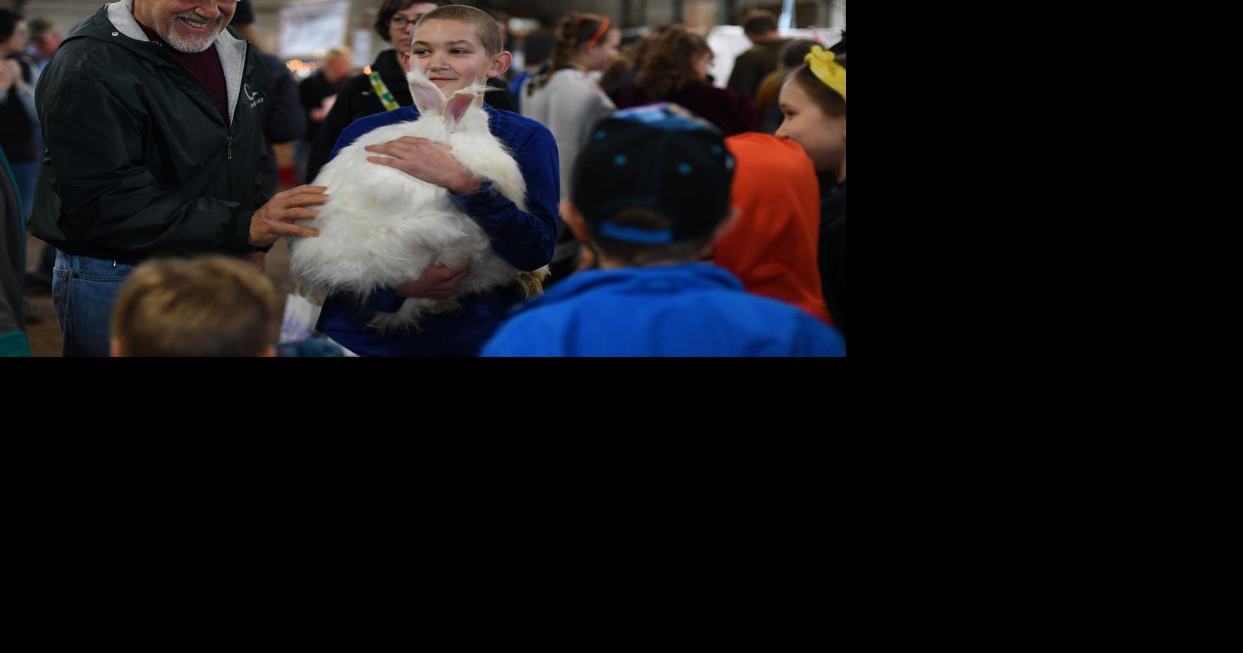Poultry in motion: More than 2,500 attend Spring Poultry and ...