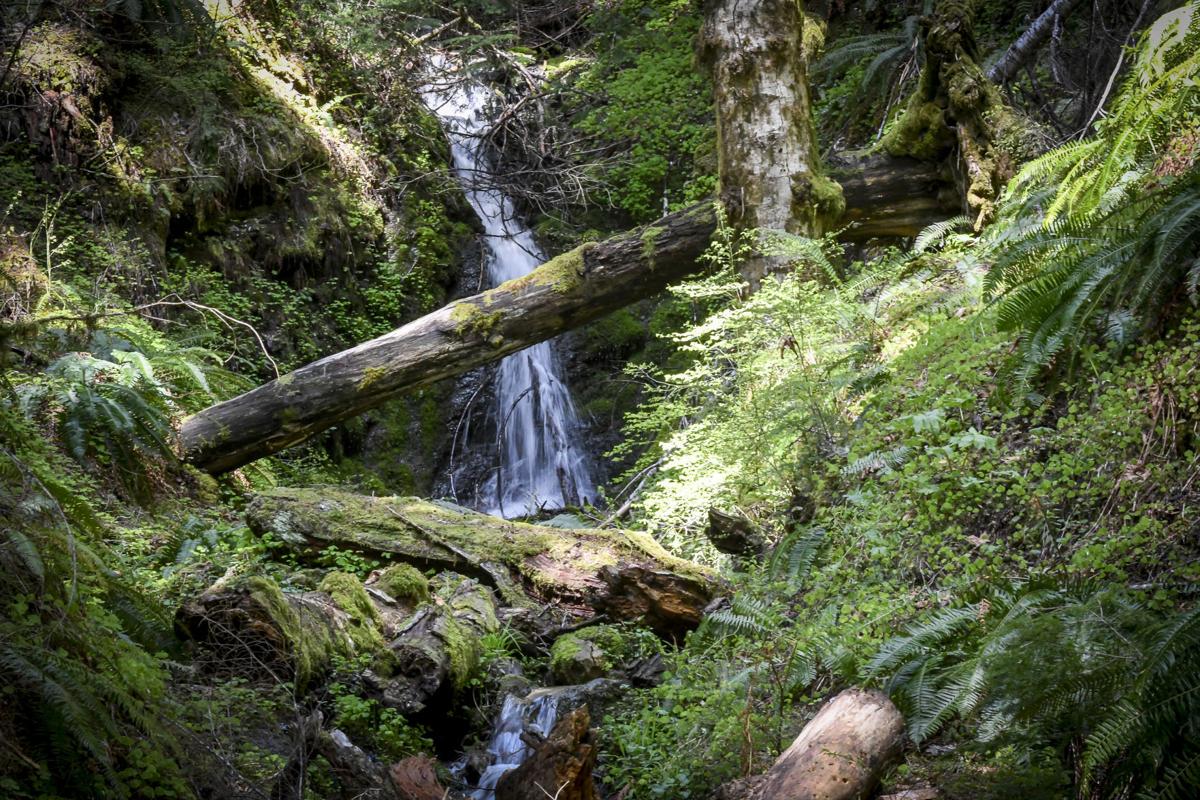 Wusi'n Creek