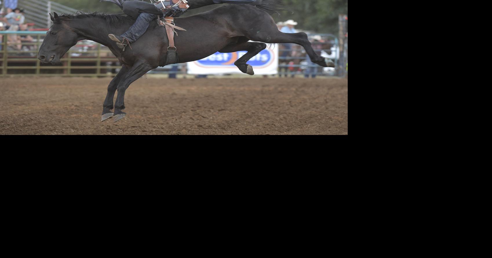 Gallery: Philomath Frolic Rodeo