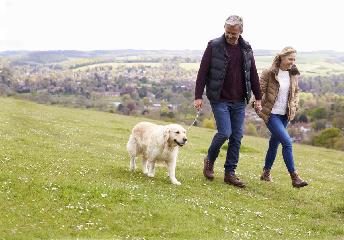 Walking the Dog