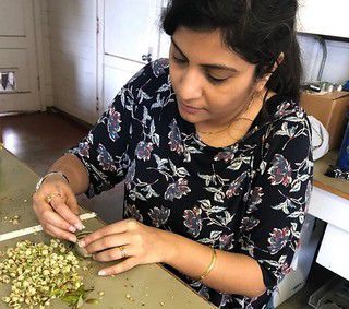 Priyadarshini Chakrabarti