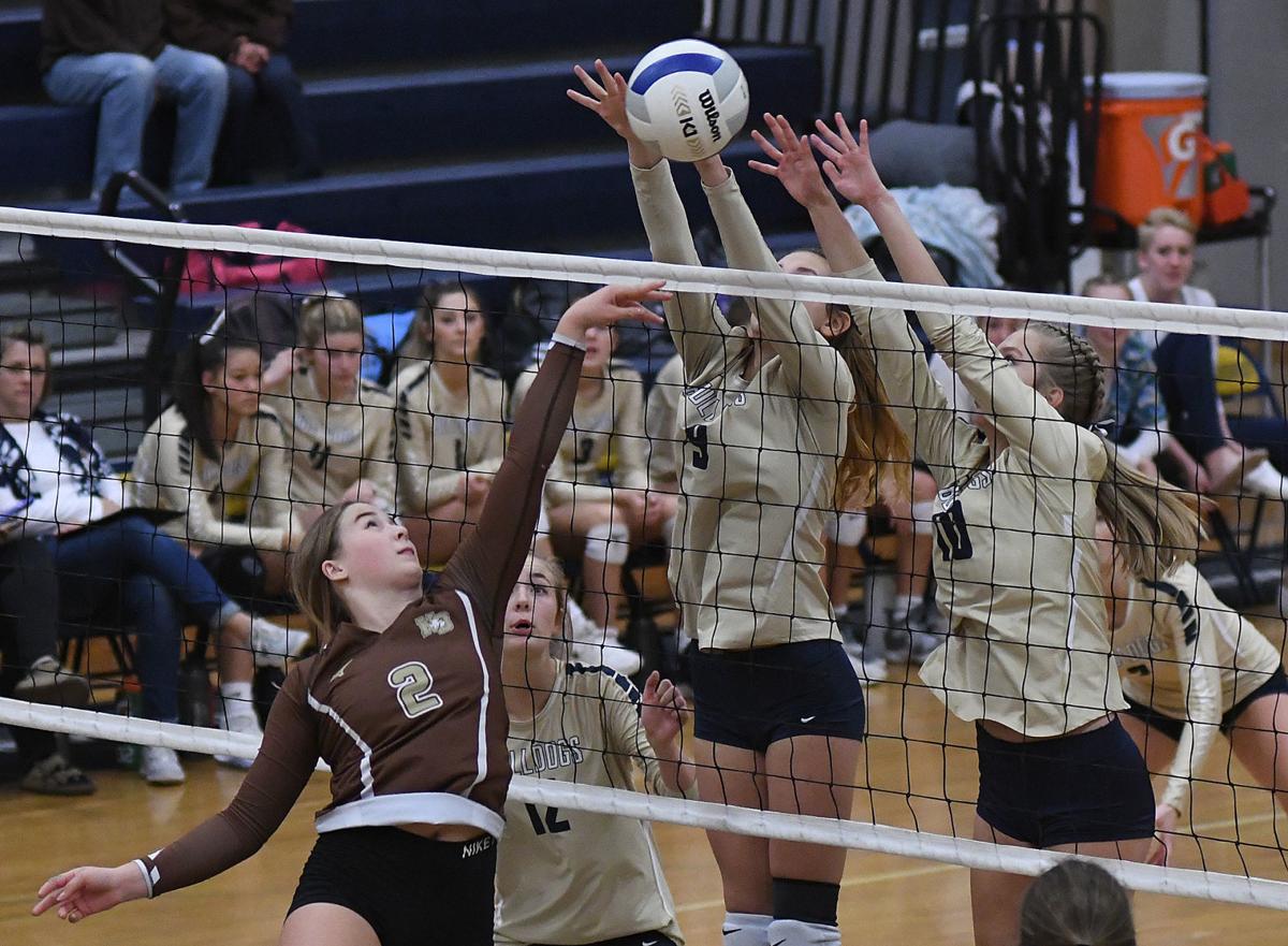 Prep volleyball West Albany reaches tournament Volleyball