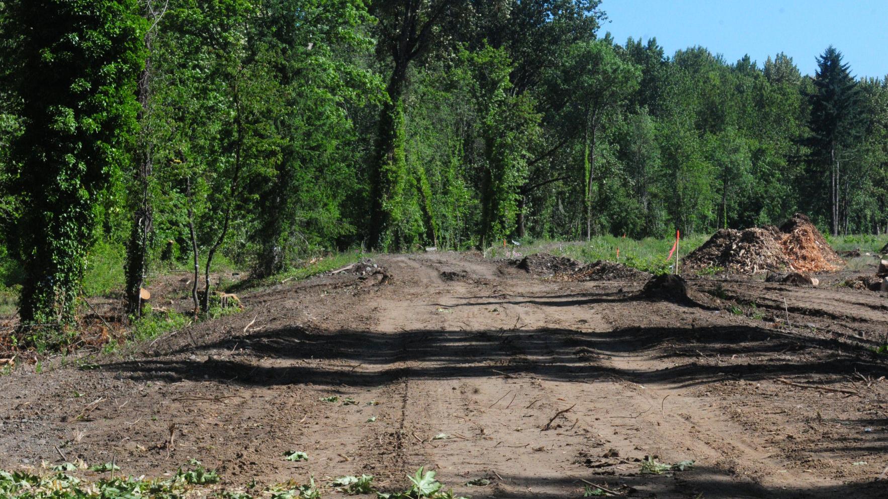 End of the trail: Lebanon group seeks more projects - Vimarsana News