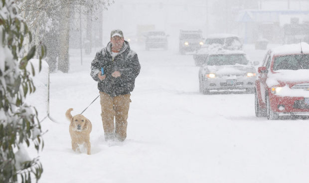 Walk in the snow