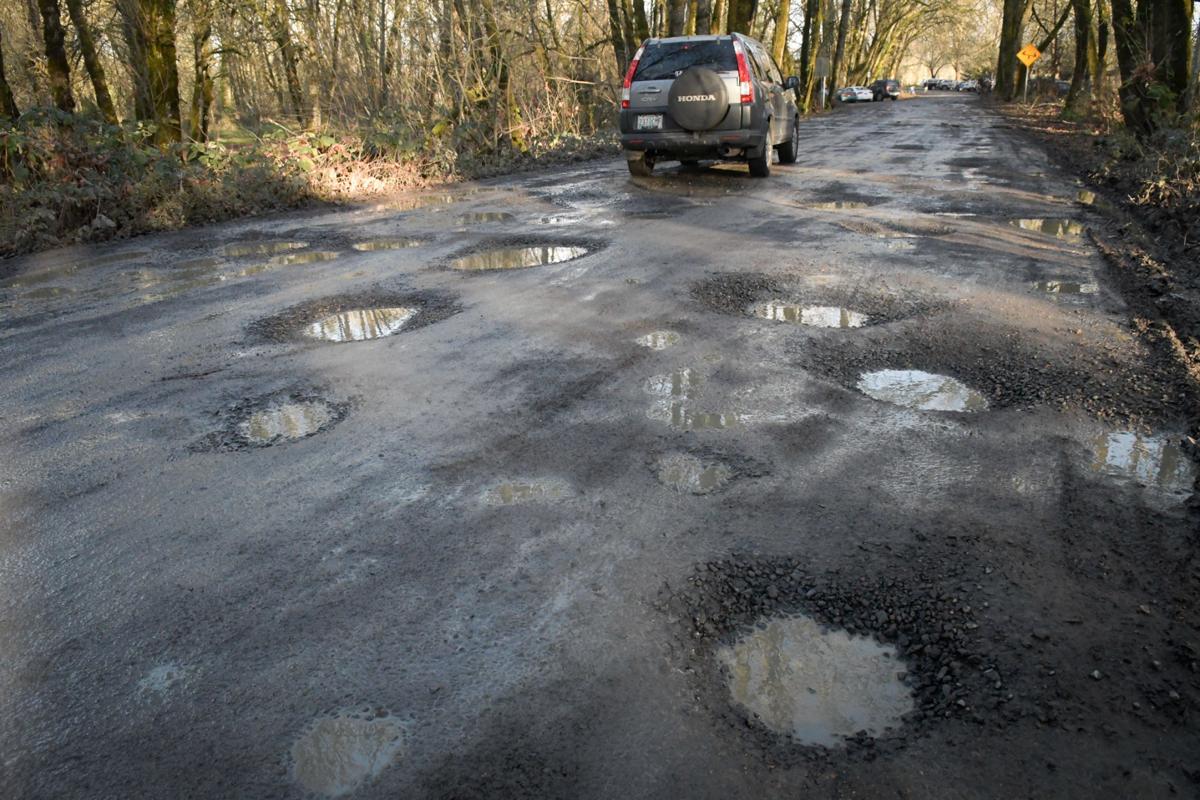 Willamette Park potholes