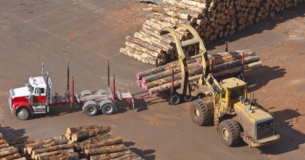 Ga Timber Struggling Georgia timber industry could receive big tax break ...