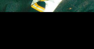Andrew M. Larson - Vimarsana News