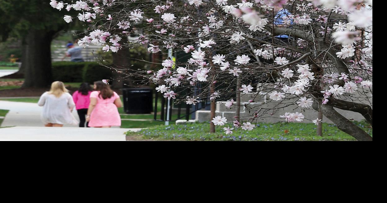 Spring blossoms | Local News | gettysburgtimes.com