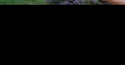 Buzz Blooms and Beyond - Vimarsana News