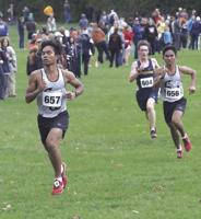 Littlestown's Small, SW runners enjoy banner day at YAIAA Cross Country Championships