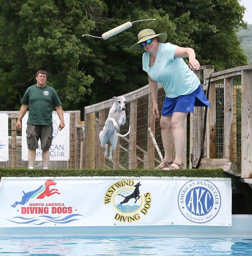 Diving Dogs contest set for weekend