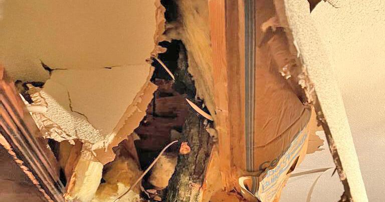 Tree crashes into home amid high winds - Vimarsana News
