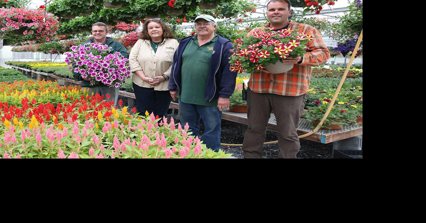 Taylor's Greenhouse celebrates 50 years Local News