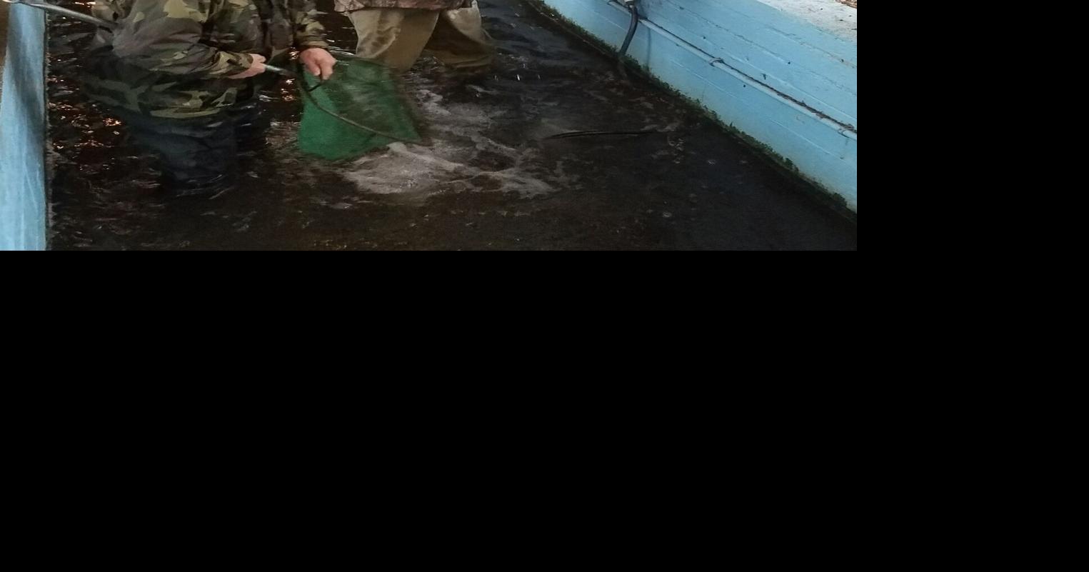 Bunnies and rainbows in McSherrystown Fish and Game’s lineage; a Christmas count that still