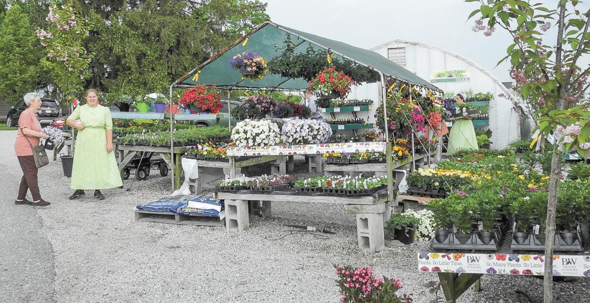 Auker S Greenhouse Celebrates 25 Years Local News Gettysburgtimes Com