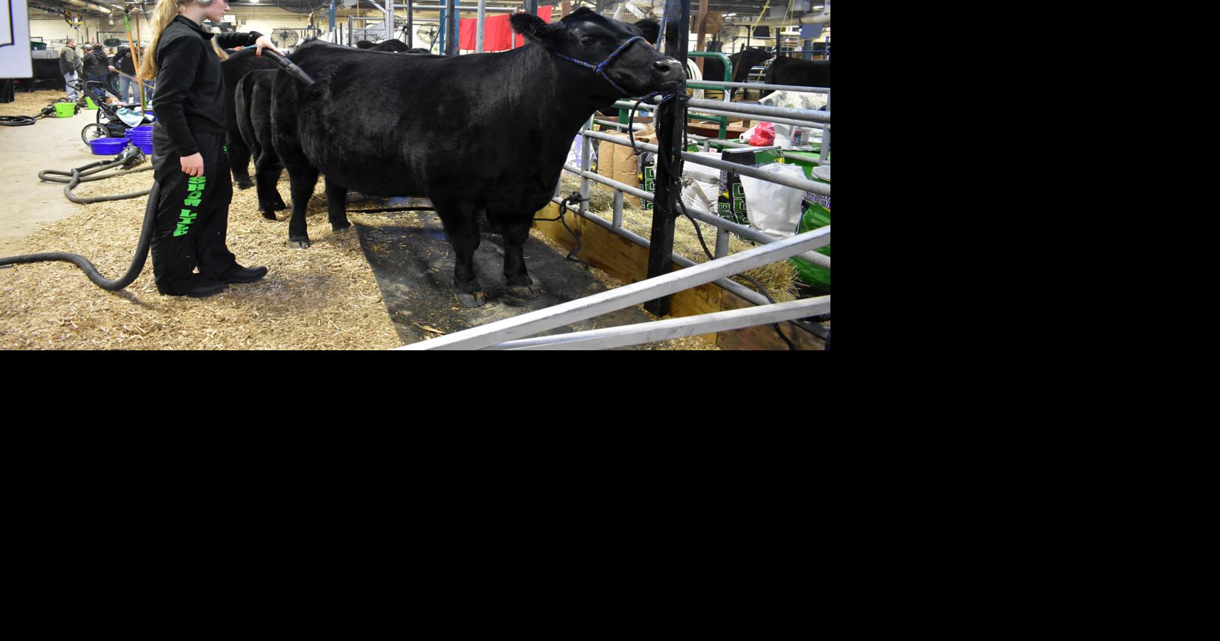 Farm show is about family | Local News | gettysburgtimes.com