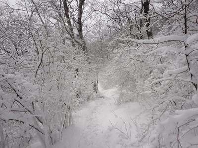 Are Winter Hikes of the Appalachian Trail the Next Thing?
