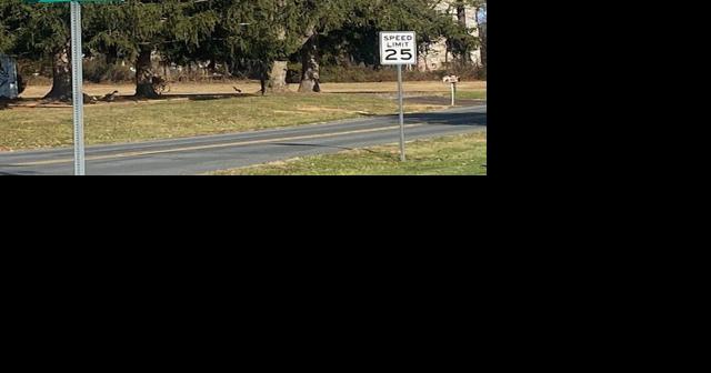Cumberland drops speed limits, adds stops - Vimarsana News