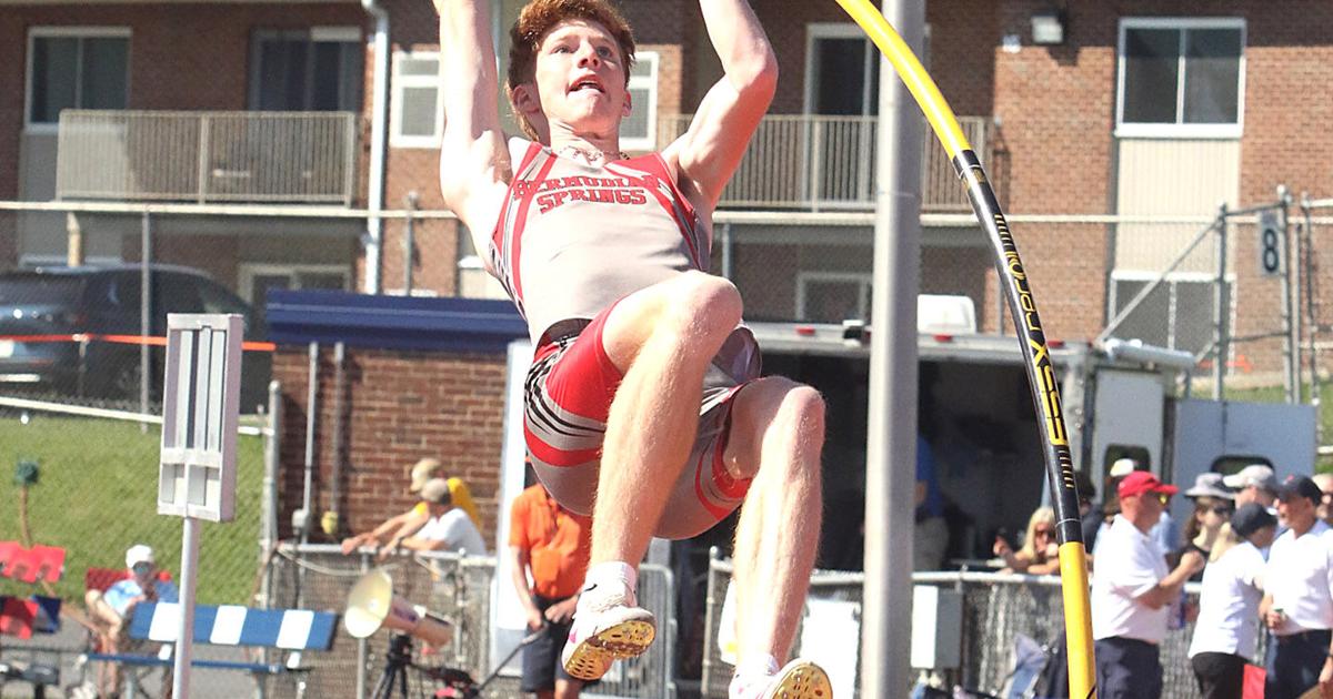 Bermudian's Ayers elevates, punching his ticket to the state championships