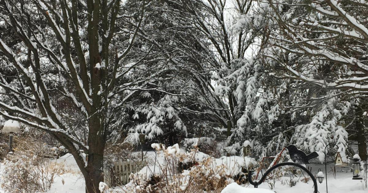 Winterize your backyard for birds and bugs | Dwelling Fashion Winterize your garden for birds and insects | Home Style